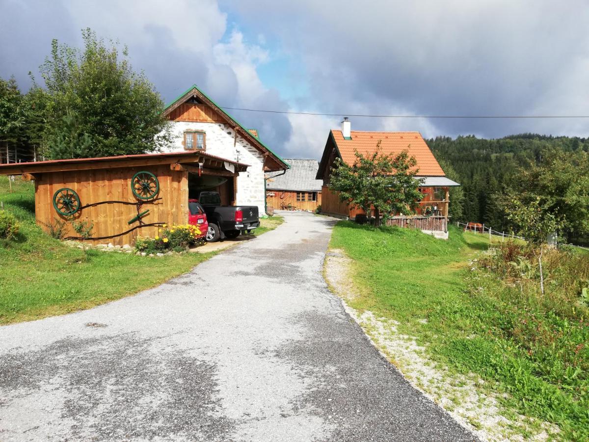 Ferienhaus Friedlhof Langschlag  Dış mekan fotoğraf