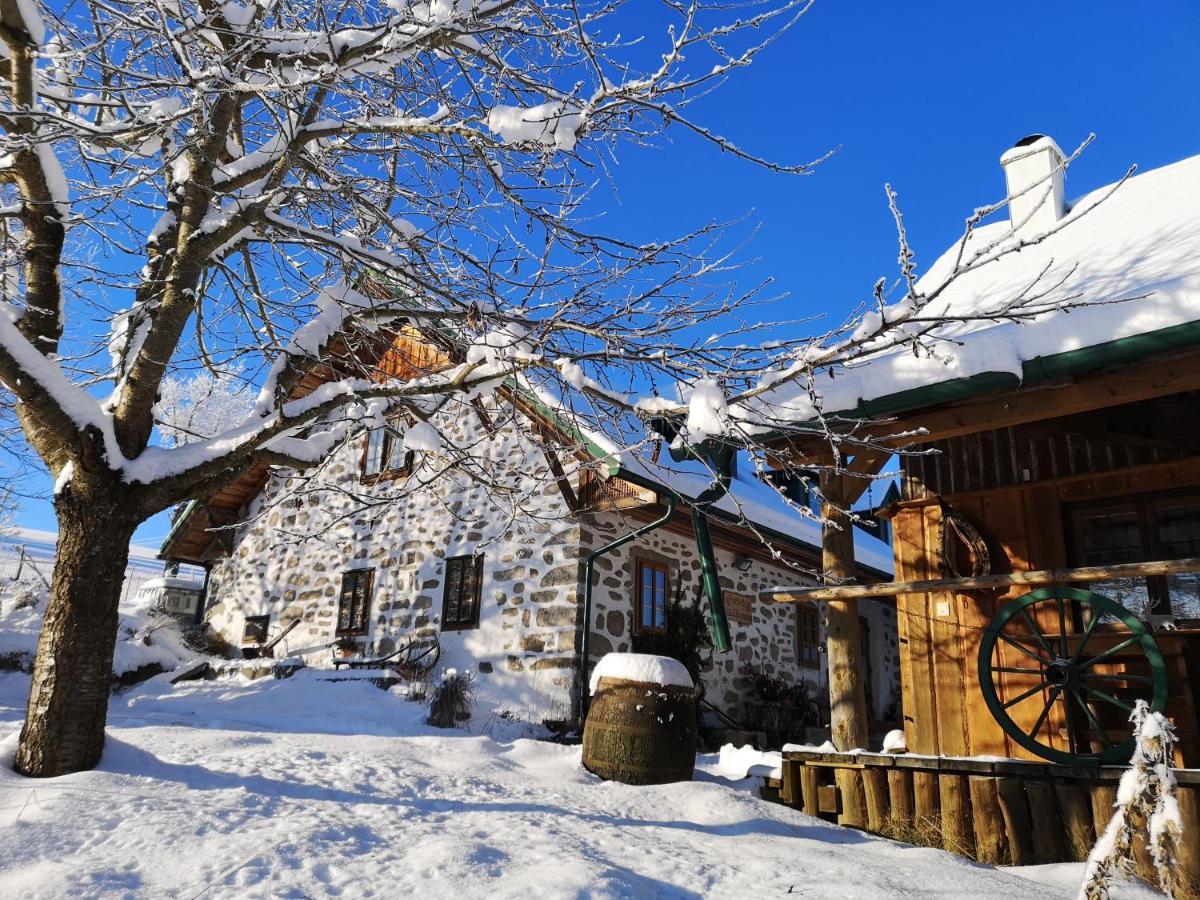 Ferienhaus Friedlhof Langschlag  Dış mekan fotoğraf